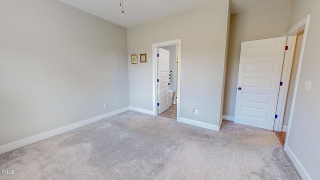 16 | Image 19