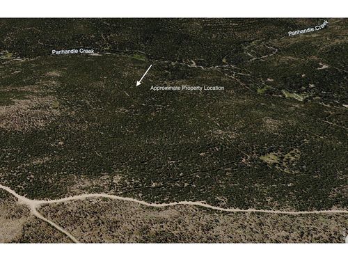 0 Forest Service 169 Lot #10 Rd, Red Feather Lakes, CO, 80545 | Card Image