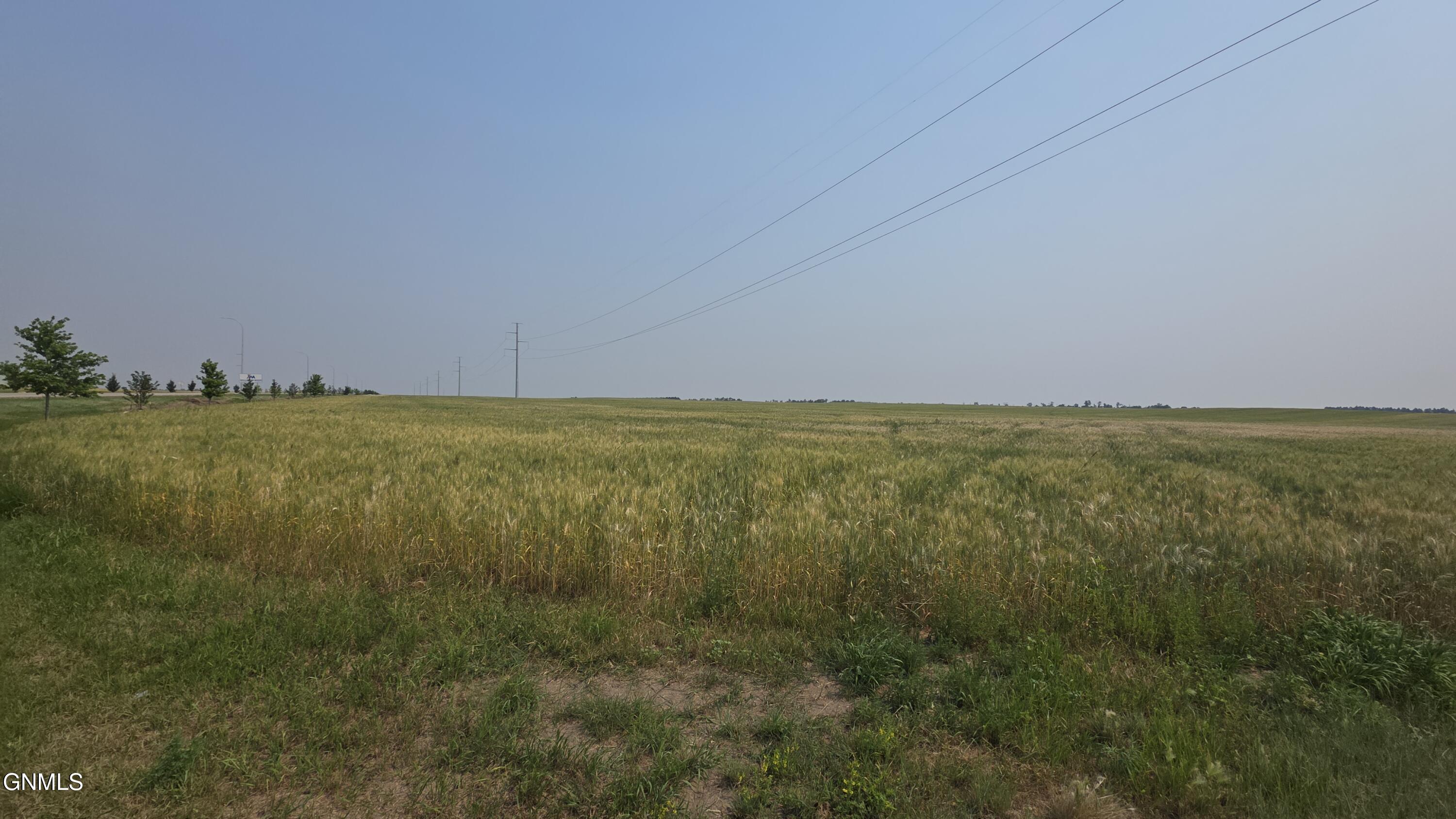 Land in Williston