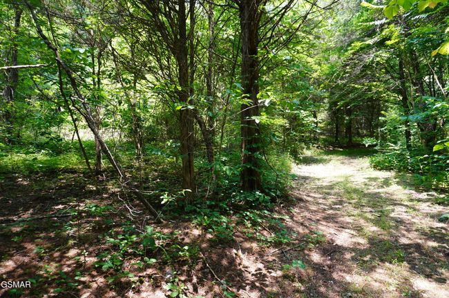 15 Raindrop Ln, Home with 0 bedrooms, 0 bathrooms and null parking in Jefferson City TN | Image 16