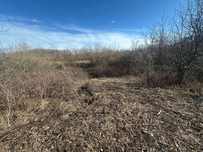 0 S State Road, Home with 0 bedrooms, 0 bathrooms and null parking in Milroy IN | Image 25