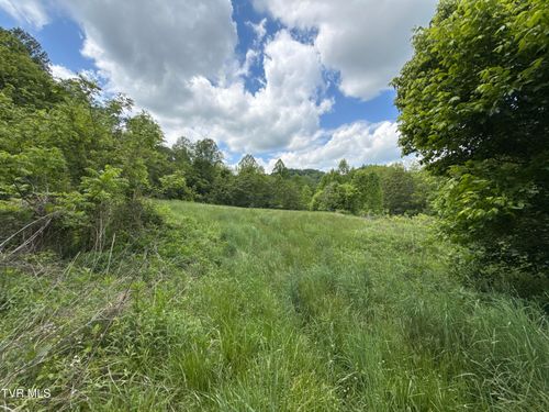 429ac Fisher Valley Rd, Eidson, TN, 37731 | Card Image