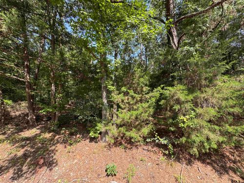 Lot 19 S Whispering Pine Trail, Mt Vernon, TX, 75457 | Card Image
