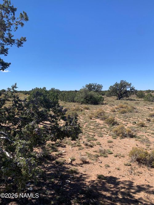 8962 W Cloud Cover Way, Williams, AZ, 86046 | Card Image
