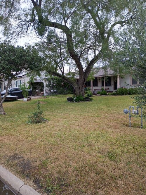 316 E Hoffman Ave, Kingsville, TX, 78363-6230 | Card Image