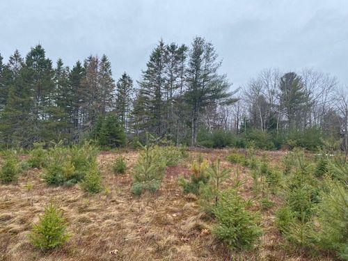 Lot 5 Copeland Hill Road, Holden, ME, 04429 | Card Image