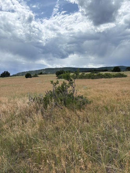 Lot 8 Lago Vistas Blvd, Colorado City, CO, 81019 | Card Image