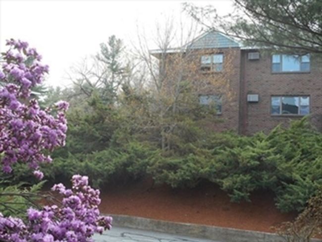 36-N - 24 Spencer Rd, Condo with 2 bedrooms, 1 bathrooms and 2 parking in Boxborough MA | Image 12