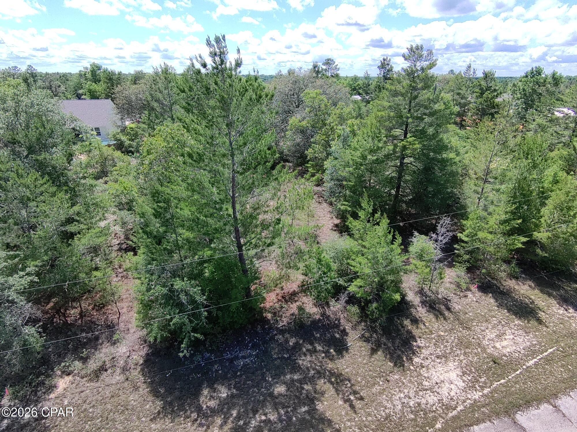 Land in Chipley 3