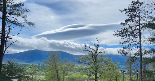 8 Champney Rd, North Conway, NH, 03860-5412 | Card Image