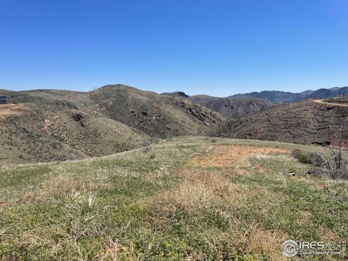 890 Meadow Mountain Dr, Livermore, CO, 80536 | Card Image
