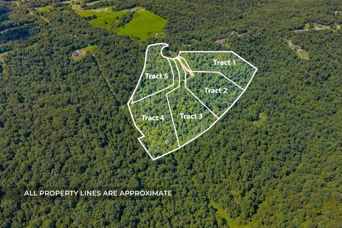 2 Lyle Hollow Rd, Palmyra, TN, 37142 | Card Image