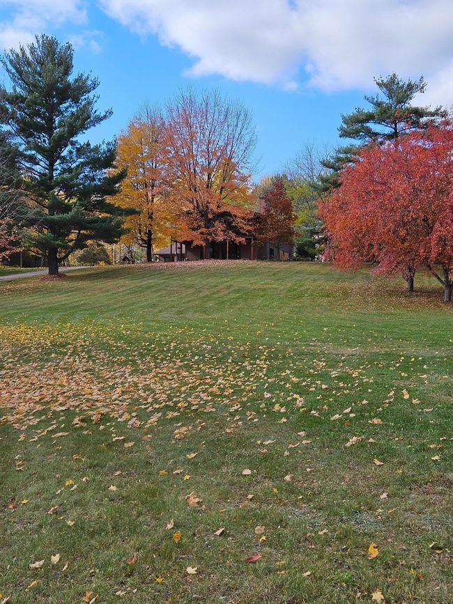 This acreage features a large yard with enough trees to give it privacy from the main road. | Image 57