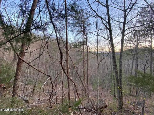 0 Beechwood St, Sevierville, TN, 37876 | Card Image
