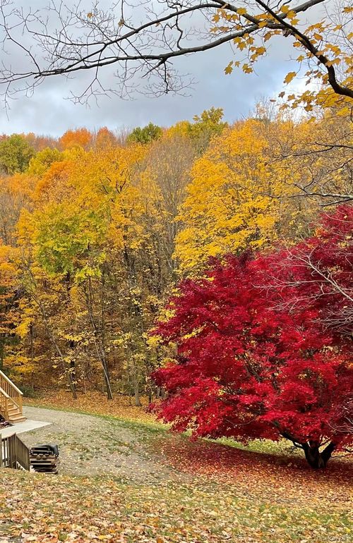 198 Pleasant Ridge Rd, Poughquag, NY, 12570-4913 | Card Image