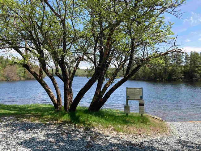 lot 5 Nh Route 4a, Home with 0 bedrooms, 0 bathrooms and null parking in Grafton NH | Image 14