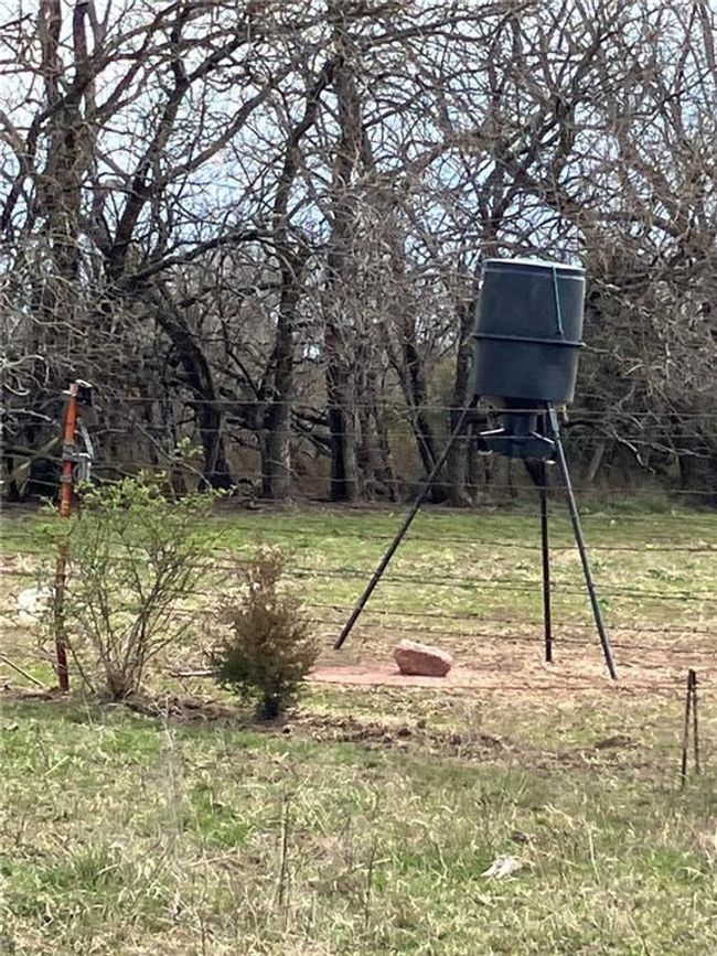 View of yard | Image 37