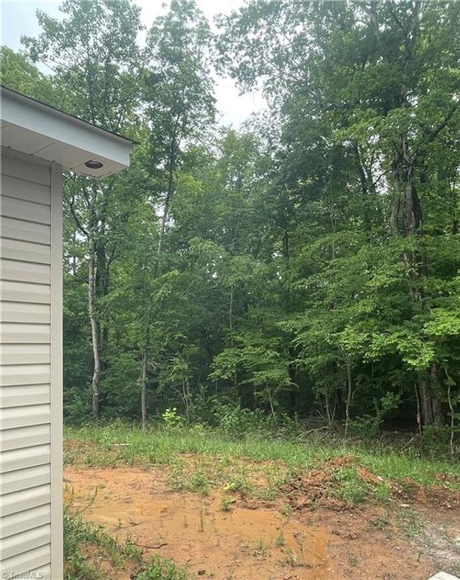 backyard | Image 7