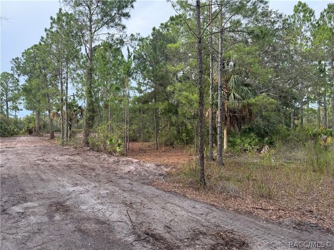 00 Sw 103 Rd Ct, Home with 0 bedrooms, 0 bathrooms and null parking in Cedar Key FL | Image 4