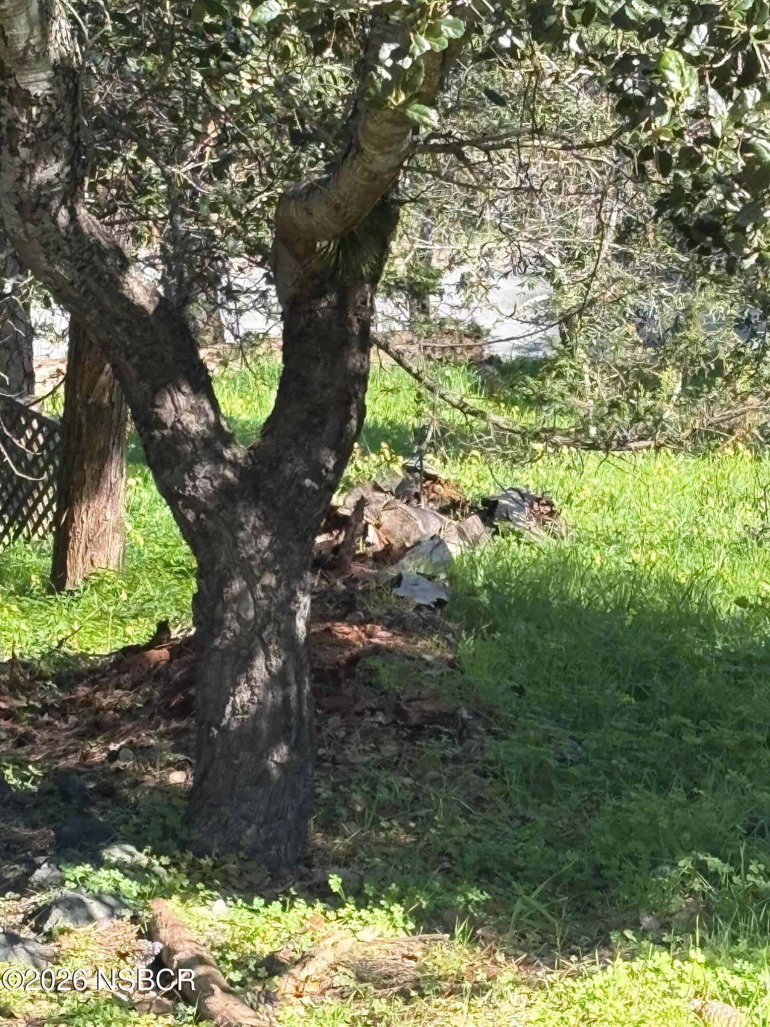 Land in Cambria