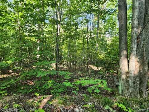 0 44.852916/-84.742739, Frederic Township, MI, 49733 | Card Image