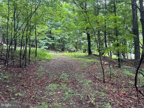 LOT 61 High Mountain View Rd, Romney, WV, 26757 | Card Image