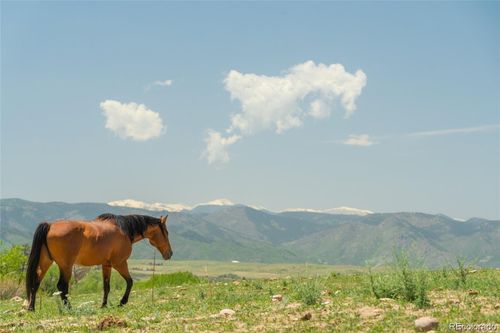 3330 Tweet Pl, Sedalia, CO, 80135-8389 | Card Image