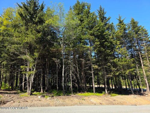 Lot 25 Martin Avenue, Haines, AK, 99827 | Card Image