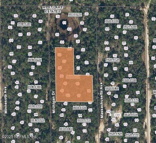 LOT 0 Michigan Dr, Hawthorne, FL, 32640 | Card Image