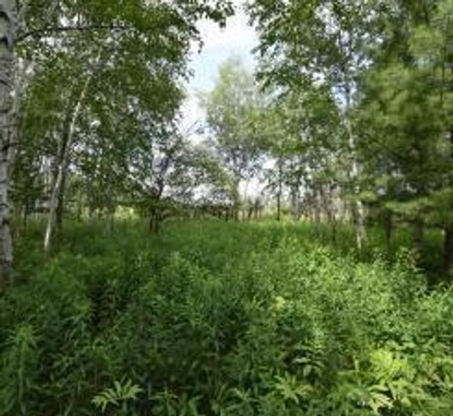 18625 Skunk Lake Rd, House other with 1 bedrooms, 0 bathrooms and null parking in SANDSTONE MN | Image 23