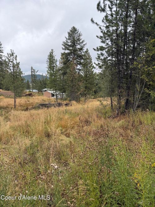 NKA F St, Plummer, ID, 83851 | Card Image