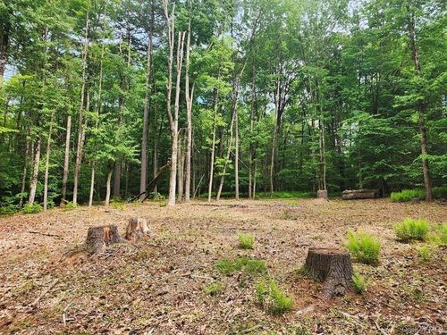 106 Starlight Dr, Monticello, NY, 12701-4623 | Card Image