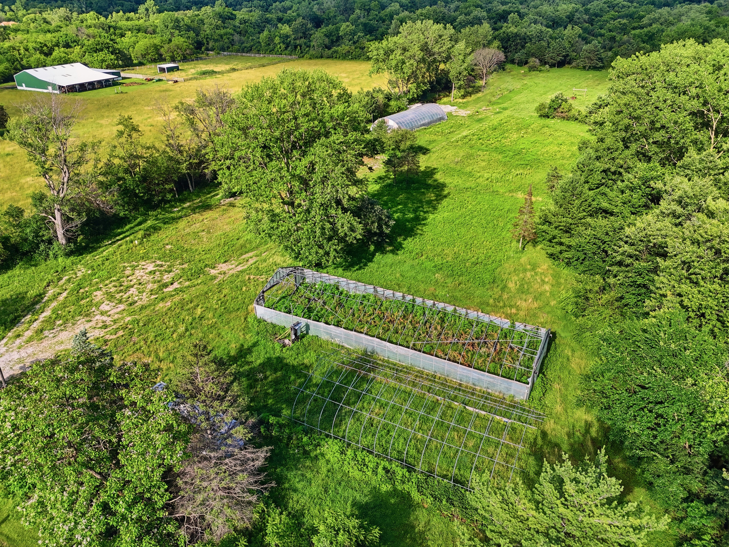 Farm in Richton Park 5
