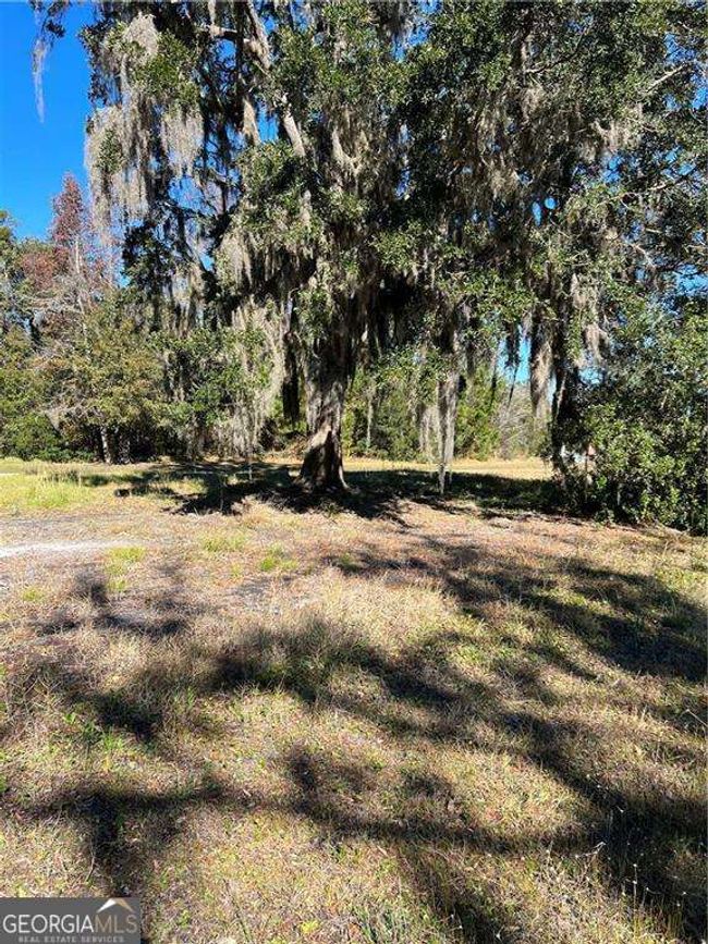 LOT 48 Maiden Creek Dr, Home with 0 bedrooms, 0 bathrooms and null parking in Waverly GA | Image 8