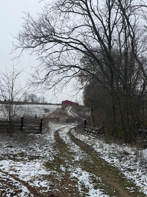 1013-B Salem Pike, Cynthiana, KY, 41031-7832 | Card Image