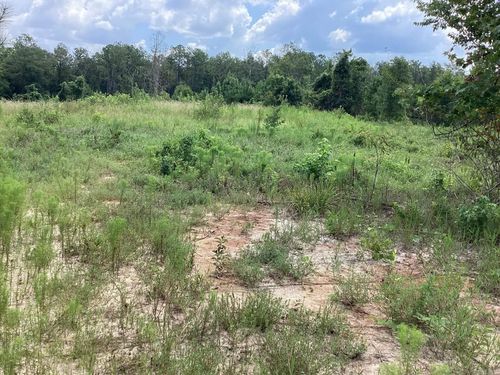 00 Cotton Hill Rd, Greenbrier, AR, 72058 | Card Image