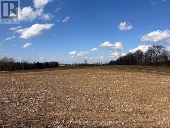 PtLt133 Conc1, Home with 0 bedrooms, 0 bathrooms and null parking in Grey Highlands ON | Image 6