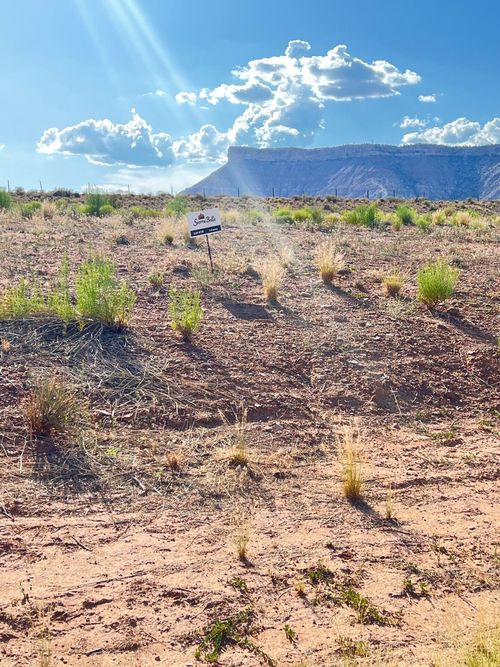 10-10 Sierra Bella Pkwy, Virgin, UT, 84779 | Card Image