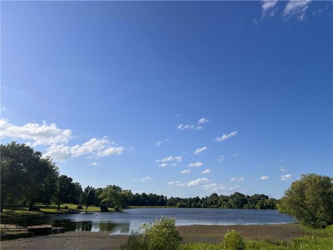 Water view with a forest | Image 34