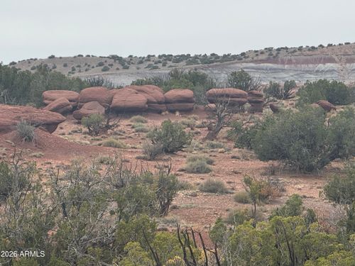 222-Lot 222 River Springs Ranch --, St Johns, AZ, 85936 | Card Image