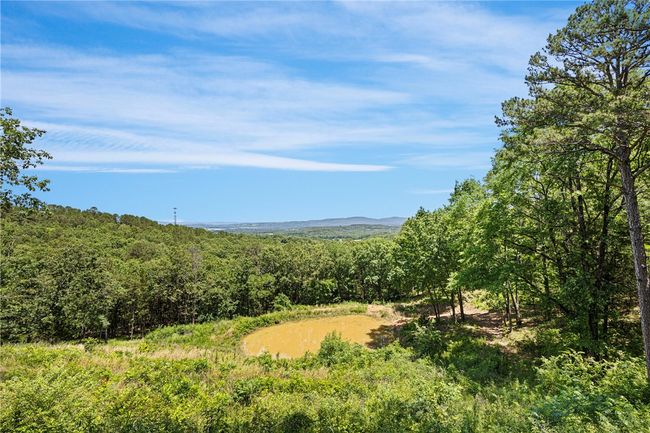 9417 Puddin Ridge Rd, House other with 4 bedrooms, 4 bathrooms and null parking in Ozark AR | Image 37