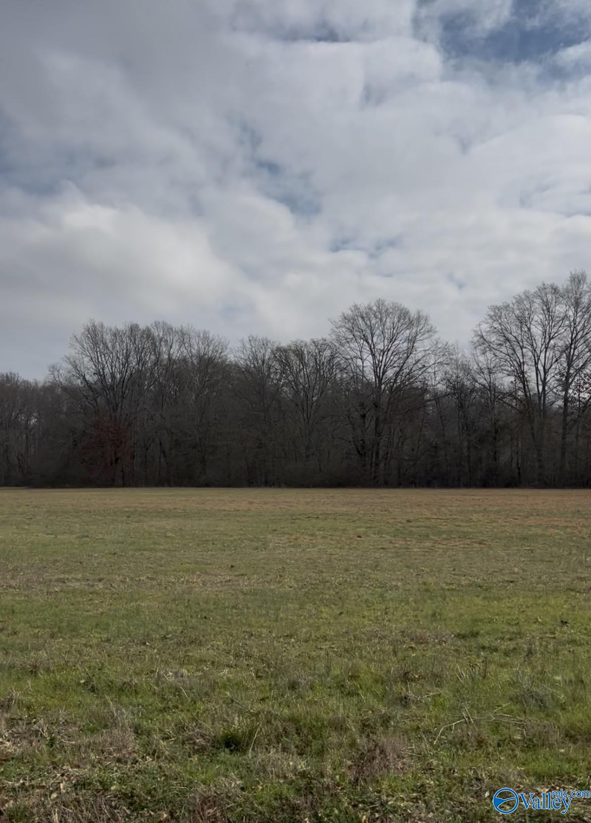 Land in Marion 2