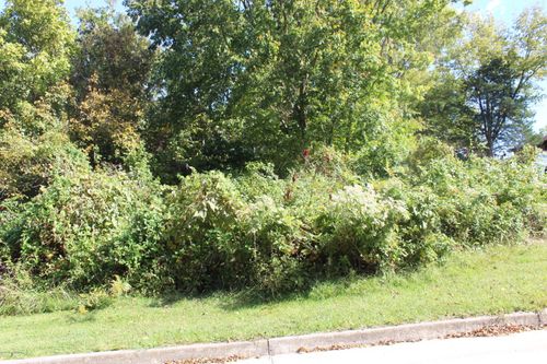 235 Ann Ct, Jefferson City, MO, 65101-3985 | Card Image