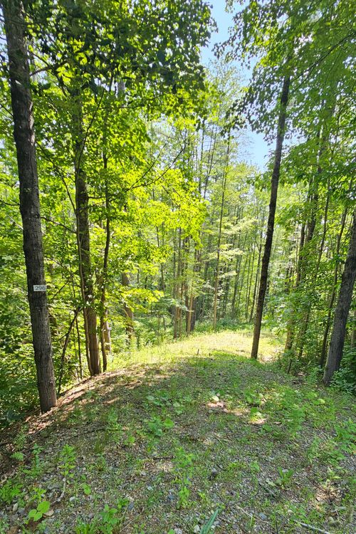 296 Libby Hill Rd, Gardiner, ME, 04345-6261 | Card Image