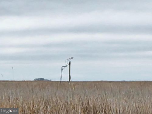 muskrat-harbor-Waterfowl &amp; Sika Deer Wesley Road, CRAPO, MD, 21626 | Card Image