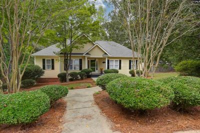 225 Circleview Drive, House other with 4 bedrooms, 3 bathrooms and null parking in Lexington SC | Image 3