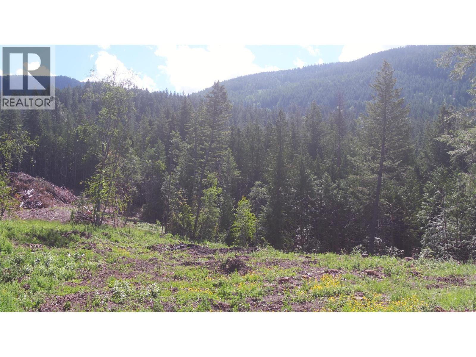 Land in Vernon 2