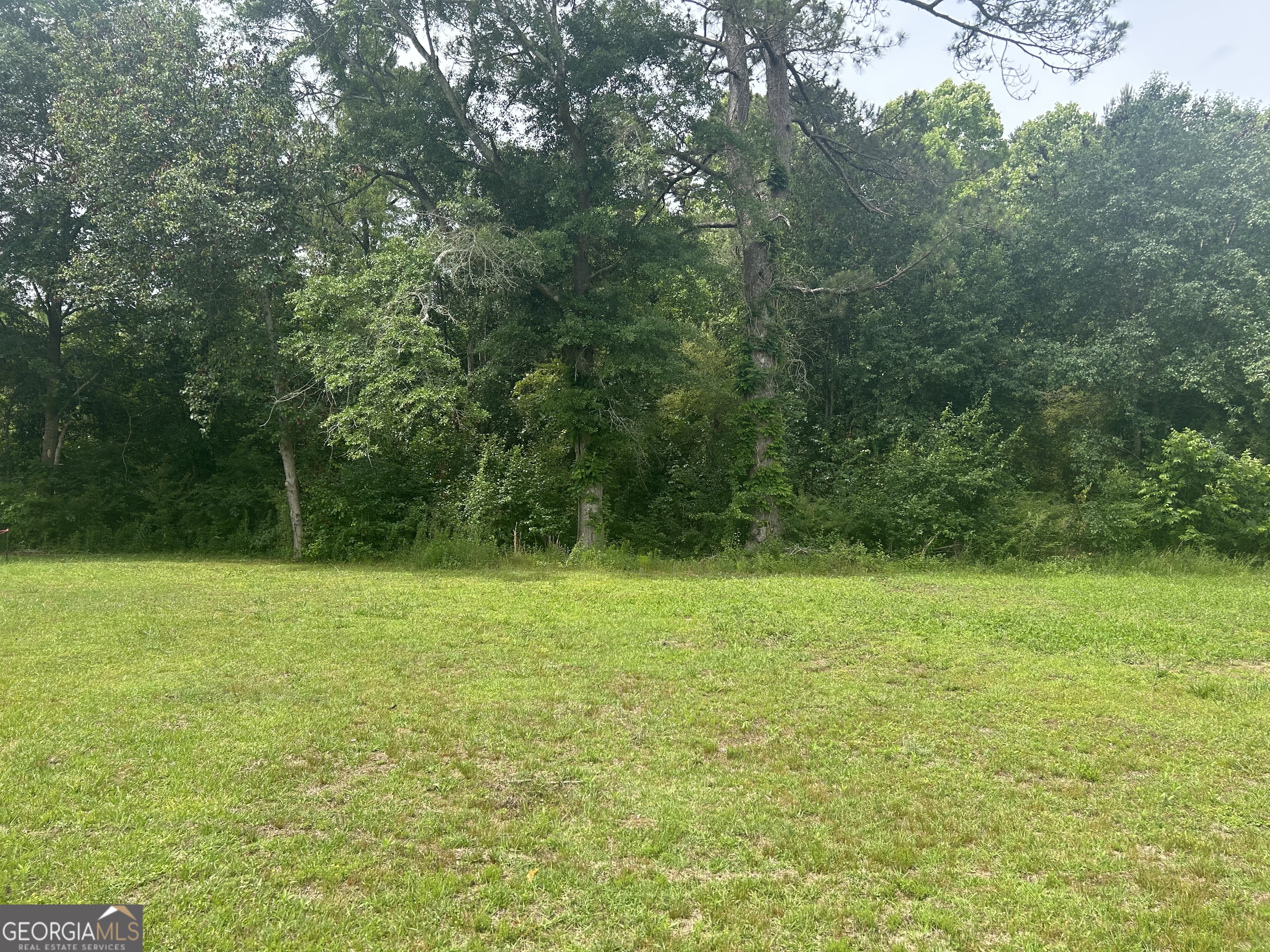 Land in Cochran 3