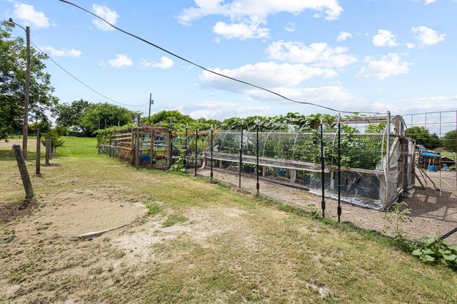 View of green lawn featuring a vegetable garden | Image 38