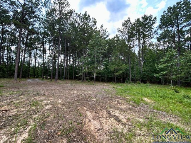 TBD 26.5 ac Boggy Rd., Home with 0 bedrooms, 0 bathrooms and null parking in Waskom TX | Image 5